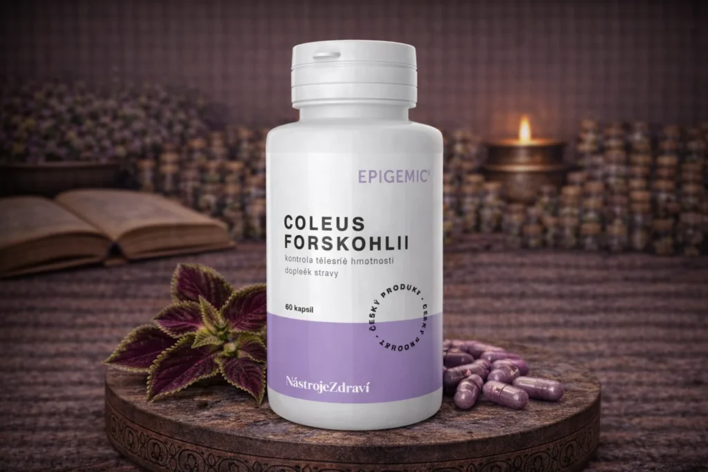 Coleus forskohlii Epigemic 60 kapsúl s rastlinou a fialovými kapsulami